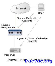 反向代理简介